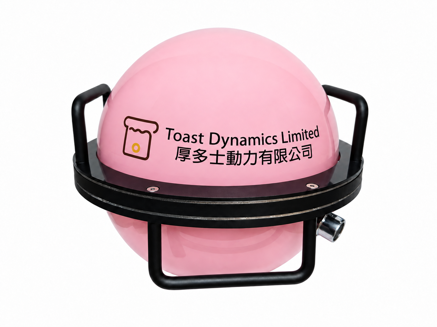 Pink Fishball water monitoring device in its protective frame