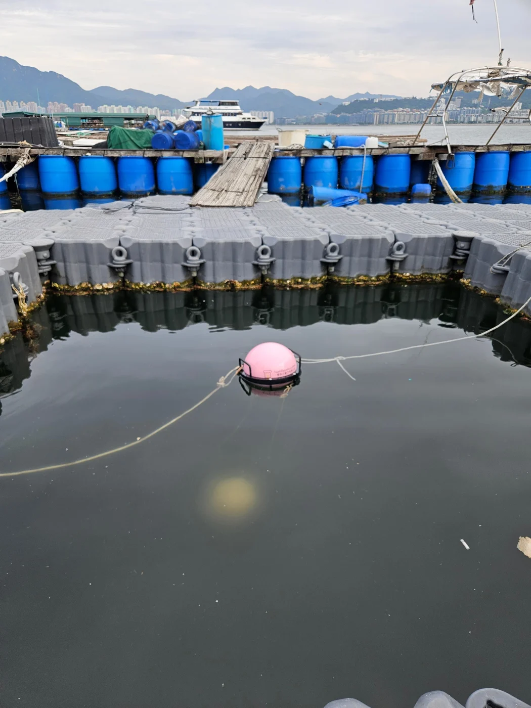 Fishball deployed in the water at a Hong Kong fish farm